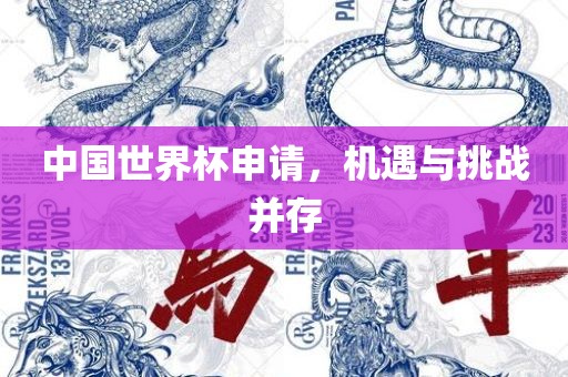 中国世界杯申请，机遇与挑战并存