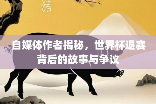 自媒体作者揭秘，世界杯退赛背后的故事与争议