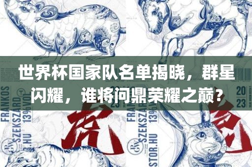 世界杯国家队名单揭晓，群星闪耀，谁将问鼎荣耀之巅？