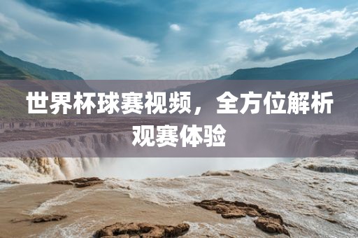 世界杯球赛视频，全方位解析观赛体验漯河市盈旭机械设备有限公司