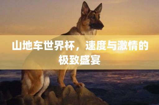 山地车世界杯，速度与激情的极致盛宴