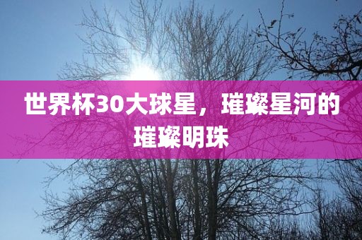 世界杯30大球星，璀璨星河的璀璨明珠
