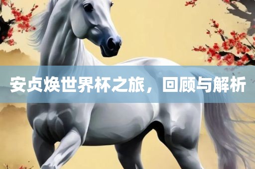 安贞焕世界杯之旅，回顾与解析