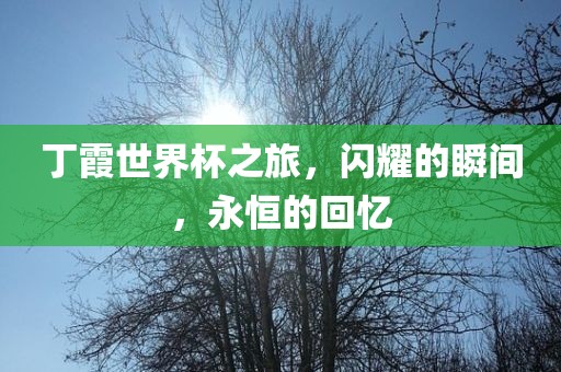 丁霞世界杯之旅，闪耀的瞬间，永恒的回忆