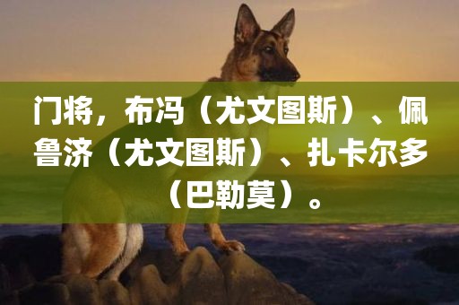 门将，布冯（尤文图斯）、佩鲁济（尤文图斯）、扎卡尔多（巴勒莫）。