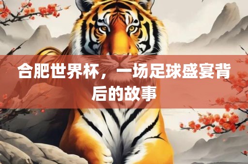 合肥世界杯，一场足球盛宴背后的故事漯河市盈旭机械设备有限公司