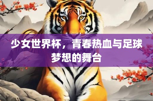 少女世界杯，青春热血与足球梦想的舞台
