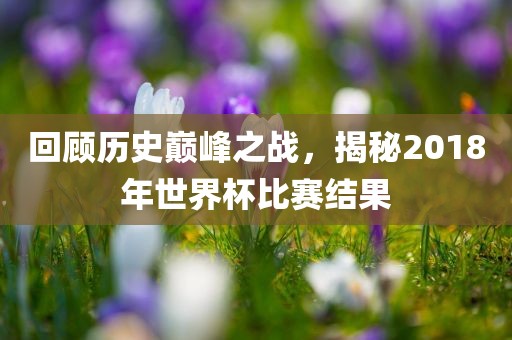 回顾历史巅峰之战，揭秘2018年世界杯比赛结果漯河市盈旭机械设备有限公司