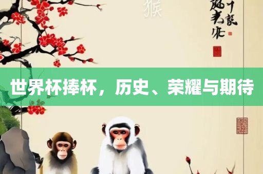 世界杯捧杯，历史、荣耀与期待
