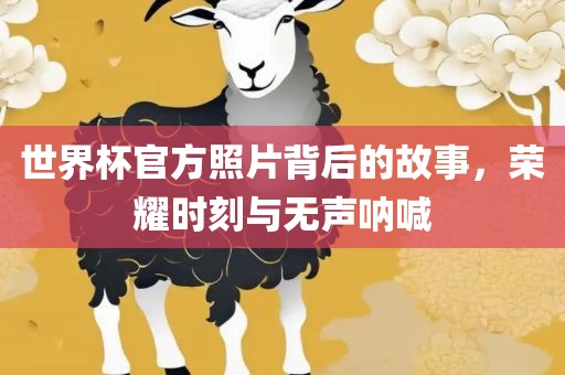 世界杯官方照片背后的故事，荣耀时漯河市盈旭机械设备有限公司刻与无声呐喊