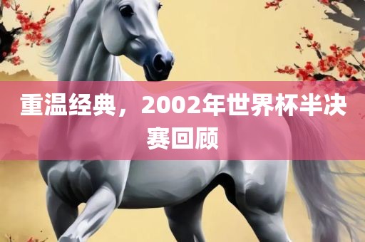 重温经典，2002年世界杯半决赛回顾