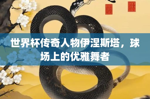 世界杯传奇人物伊涅斯塔，球场上的优雅舞者