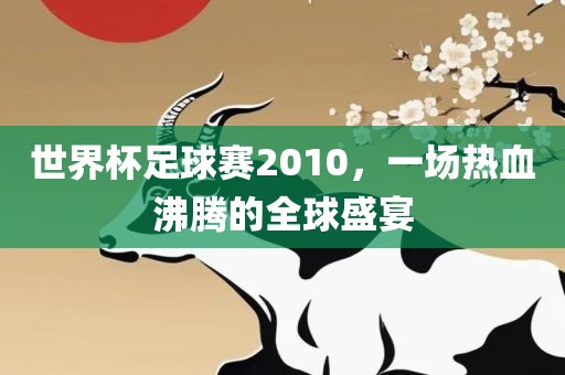 世界杯足球赛2010，一场热血沸腾的全球盛宴