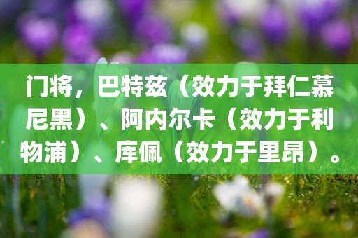 门将，巴特兹（效力于拜仁慕尼黑）、阿内尔卡（效力于利物浦）、库佩（效力于里昂）。