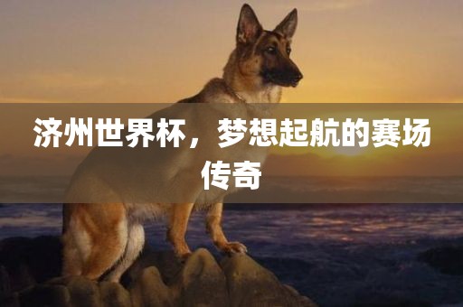 济州世界杯，梦想起航的赛场传奇
