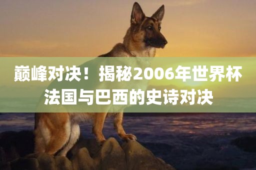 巅峰对决！揭秘2006年世界杯法国与巴西的史诗对决漯河市盈旭机械设备有限公司