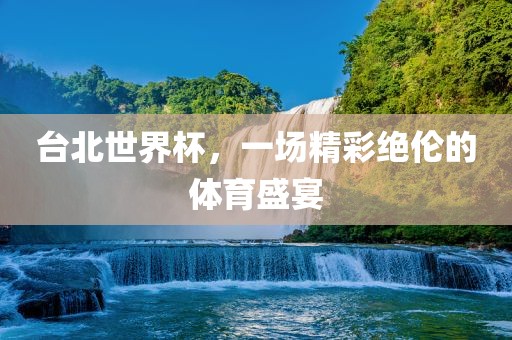 台北世界杯，一场精彩绝伦的体育盛宴