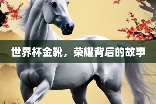 世界杯金靴，荣耀背后的故事