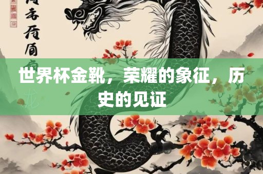 世界杯金靴，荣耀的象征，历史的见证