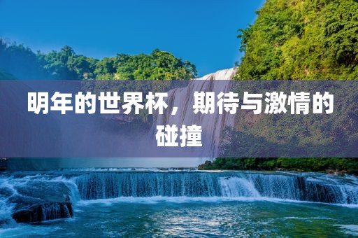 明年的世界杯，期待与激情的碰撞