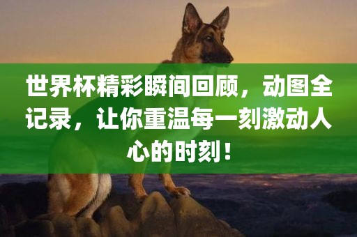 世界杯精彩瞬间回顾，动图全记录，让你重温每一刻激动人心的时刻！