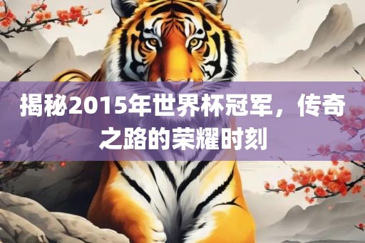 揭秘2015年世界杯冠军，传奇之路的荣耀时刻