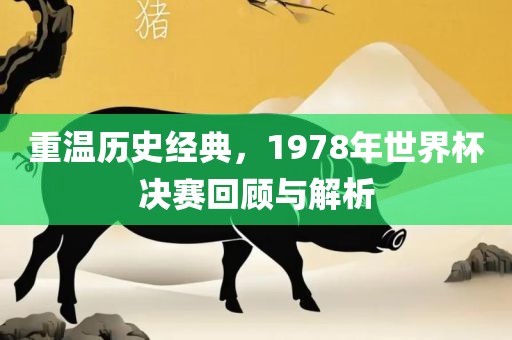 重温历史经典，1978年世界杯决赛回顾与解析