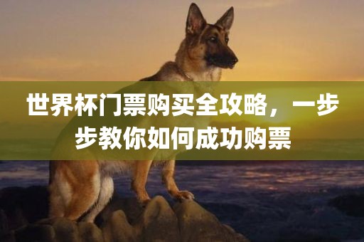 世界杯门票购买全攻略，一步步教你如何成功购票