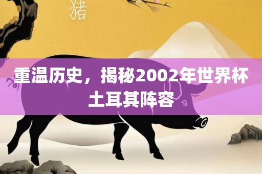 重温历史，揭秘2002年世界杯土耳其阵容