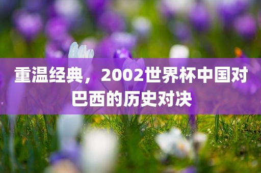 重温经典，2002世界杯中国对巴西的历史对决