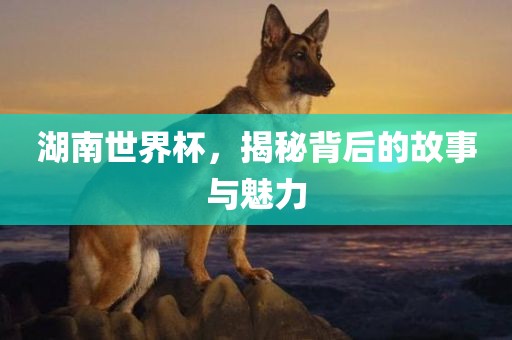 湖南世界杯，揭秘背后的故事与魅力