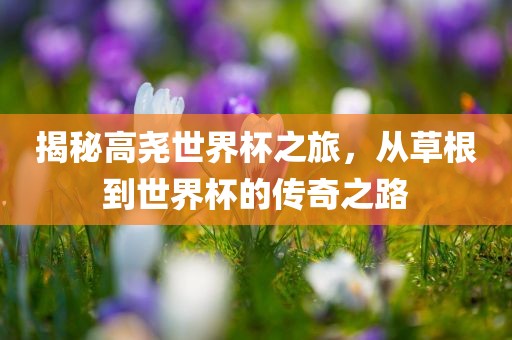 揭秘高尧世界杯之旅，从草根到世界杯的传奇之路