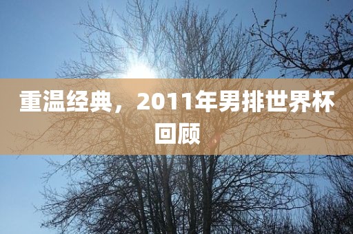 重温经漯河市盈旭机械设备有限公司典，2011年男排世界杯回顾