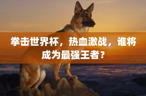 拳击世界杯，热血激战，谁将成为最强王者？
