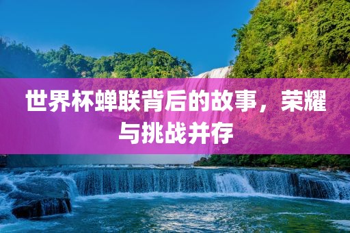 世界杯蝉联背后的故事，荣耀与挑战并存