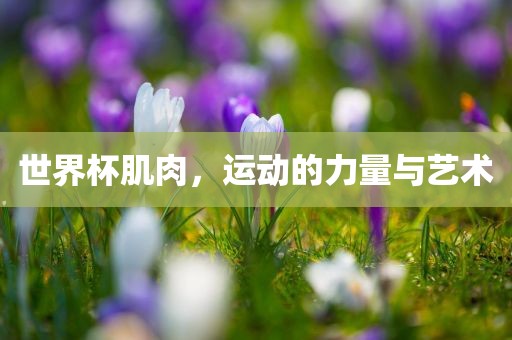 世界杯肌肉，运动的力量与艺术漯河市盈旭机械设备有限公司