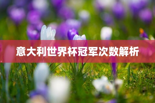 意大利世界杯冠军次数解析漯河市盈旭机械设备有限公司