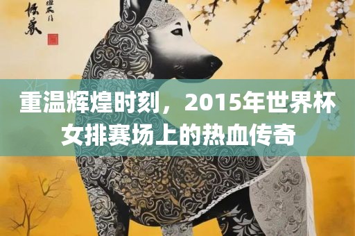 重温辉煌时刻，2015年世界杯女排赛场上的热血传奇漯河市盈旭机械设备有限公司
