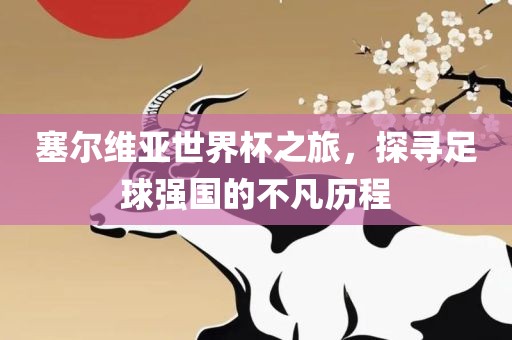 塞尔维亚世界杯之旅，探寻足球强国的不凡历程