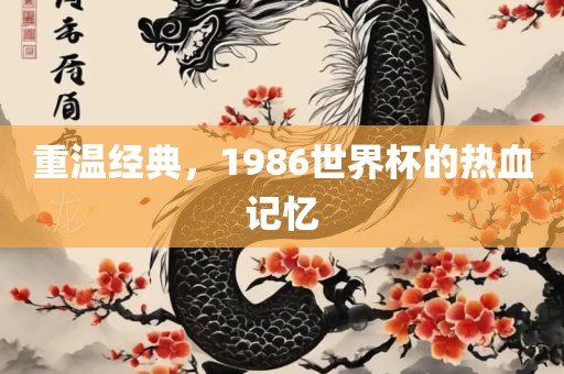 重温经典，1986世界杯的热血记忆