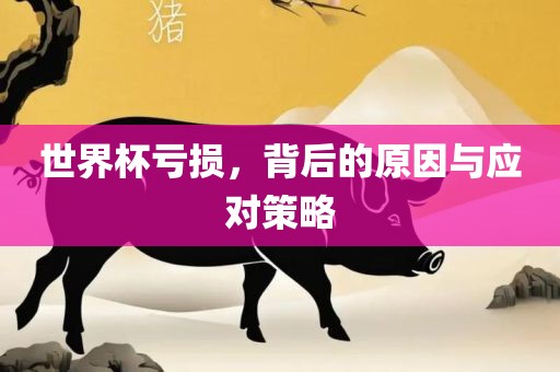 世界杯亏损，背后的原因与应对策略漯河市盈旭机械设备有限公司
