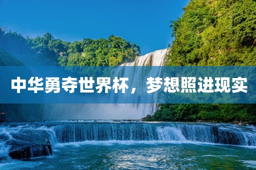 中华勇夺世界杯，梦想照进现实