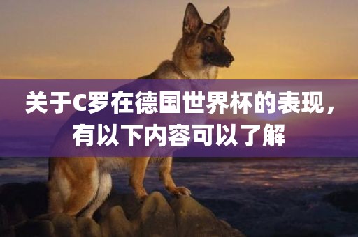 关于C罗在德国世界杯的表现，有以下内容可以了解