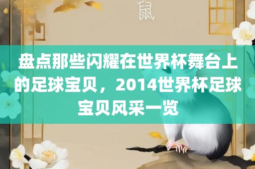 盘点那些闪耀在世界杯舞台上的足球宝贝，2014世界杯足球宝贝风采一览