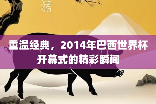 重温经典，2014年巴西世界杯开幕式的精彩瞬间