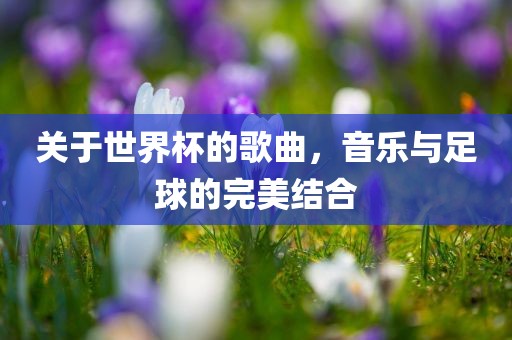 关于世界杯的歌曲，音乐与足球的完美结合