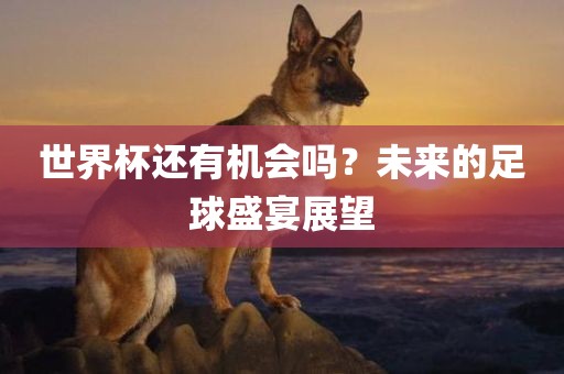 世界杯还有机会吗？未来的足球盛宴展望