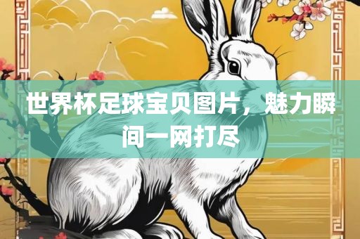 世界杯足球宝贝图片，魅力瞬间一网打尽漯河市盈旭机械设备有限公司