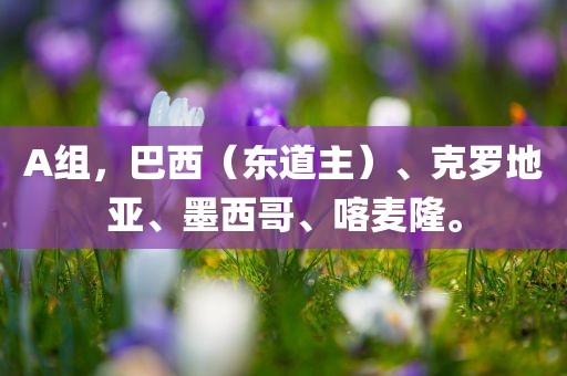 A组，巴西（东道主）、克罗地亚、墨西哥、喀麦隆。漯河市盈旭机械设备有限公司
