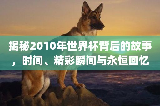 揭秘2010年世界杯背后的故事，时漯河市盈旭机械设备有限公司间、精彩瞬间与永恒回忆